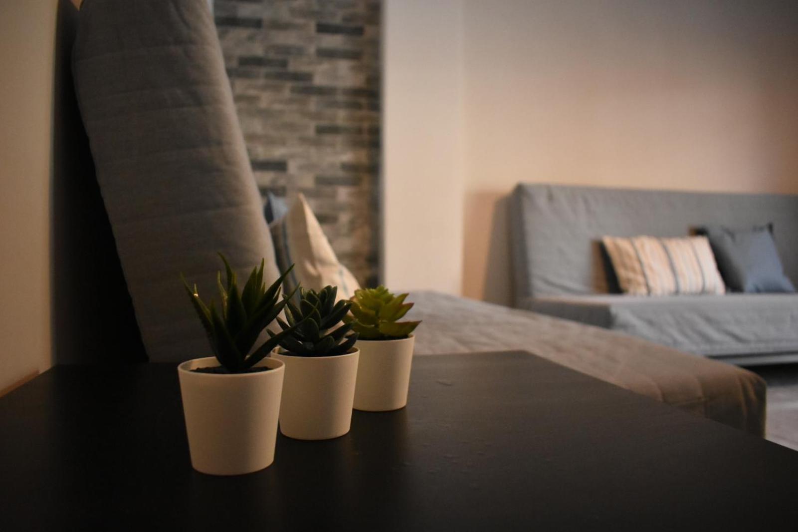 Davidana Deluxe Apartment